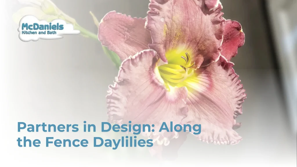 Partners in Design: Along the Fence Daylilies with Saundra Dunn mcdaniels partners in design along the fence daylilies